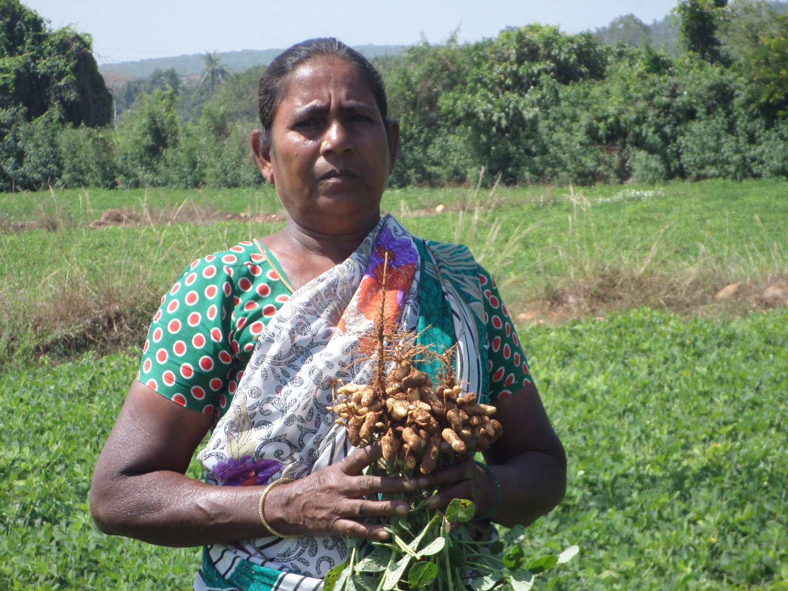 Climate resilient agriculture field work