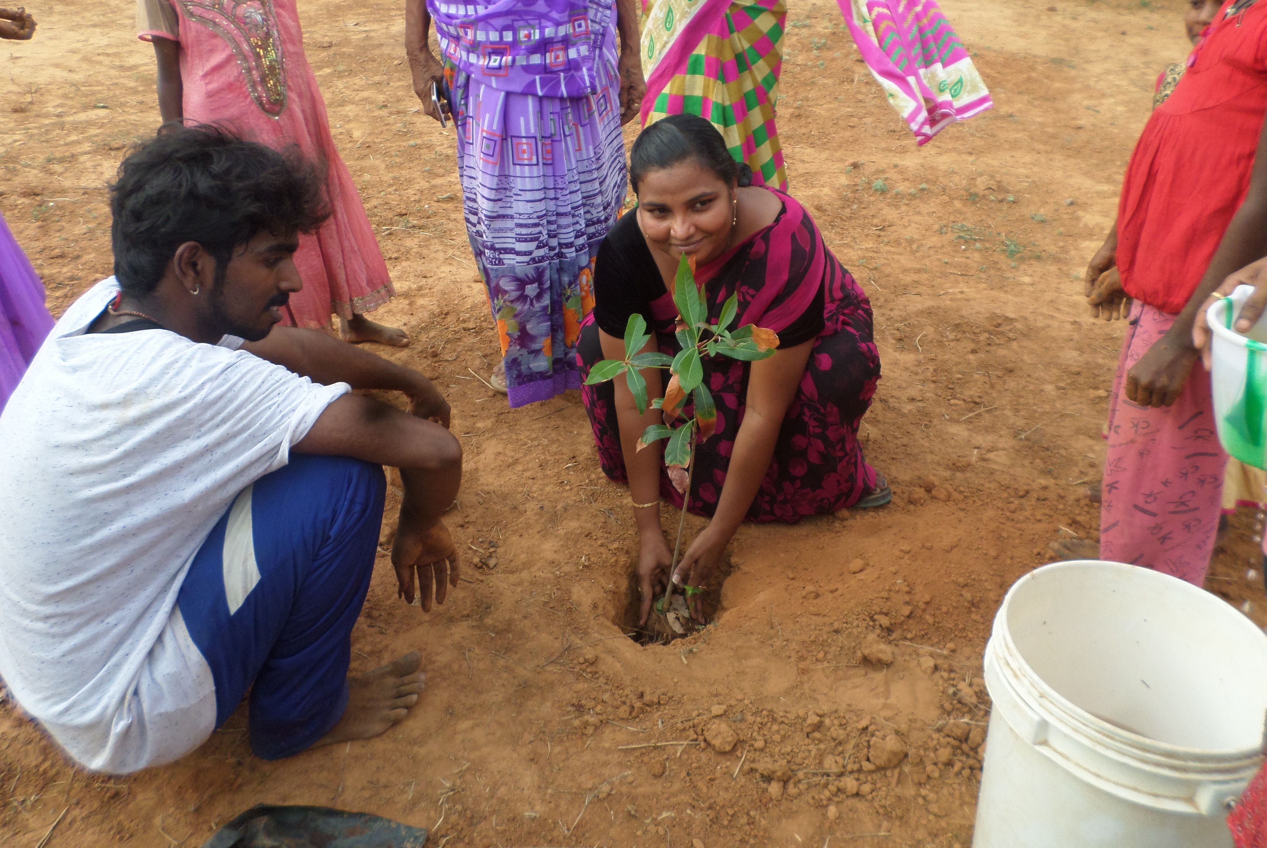 Environment & Ecological Sustainability Image 4