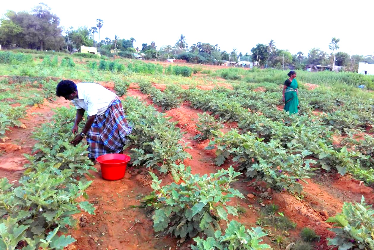 Environment & Ecological Sustainability Image 6